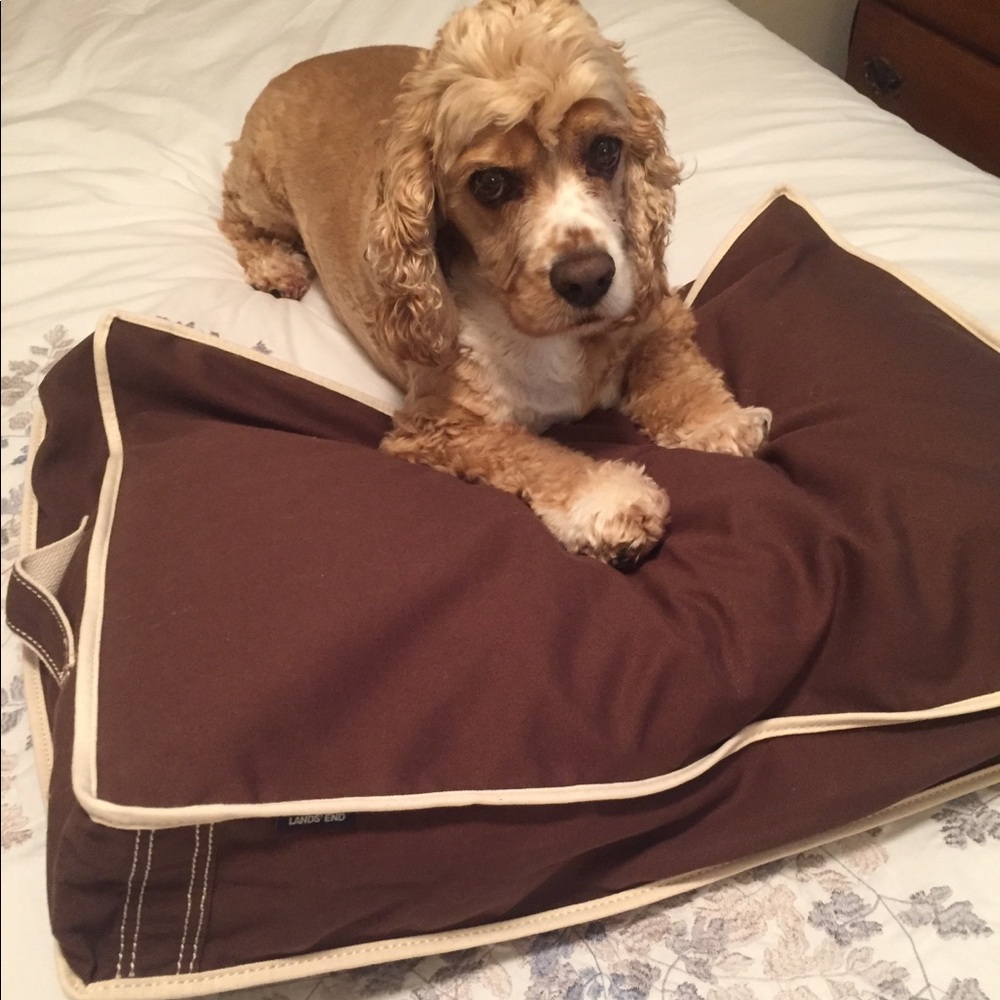 Lands End Rectangular Canvas Dog Bed Cover
